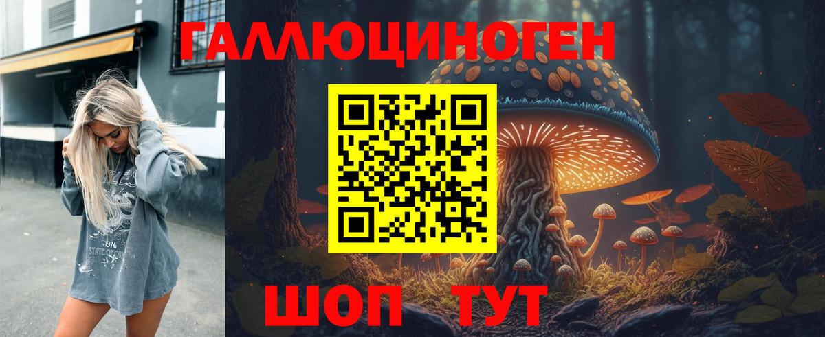 Сергиев Посад  Псилоцибиновые грибы GOLDEN TEACHER  Вход с VPN 